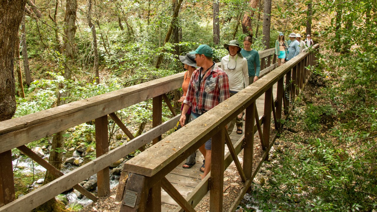 People walking over a suspension bridge in southern Oregon going over a Rogue River tributary