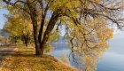 Centenial trail in Idaho and Washington in the fall with leaves turning yellow and orange. 