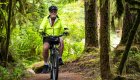 A man riding an e-bike on a forest trail surrounded by towering trees and lush greenery during a guided biking trip.