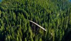 A long wooden trestle bridge cutting through dense pine forest on the Route of the Hiawatha trail in northern Idaho, with cyclists riding across it.