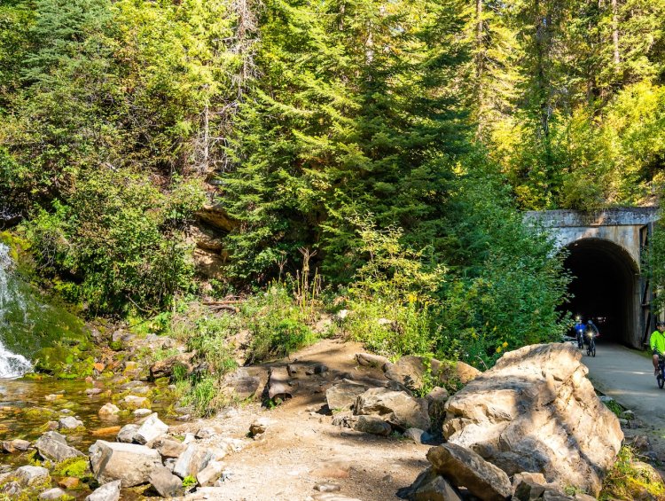 A group of bikers on the North Idaho Hiawatha trail with ROW Adventures biking past a waterfall and dense forest.