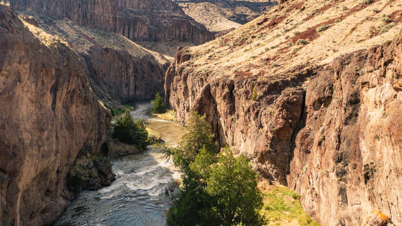 Panoramic view of the Bruneau River looking downstream on a sunny day