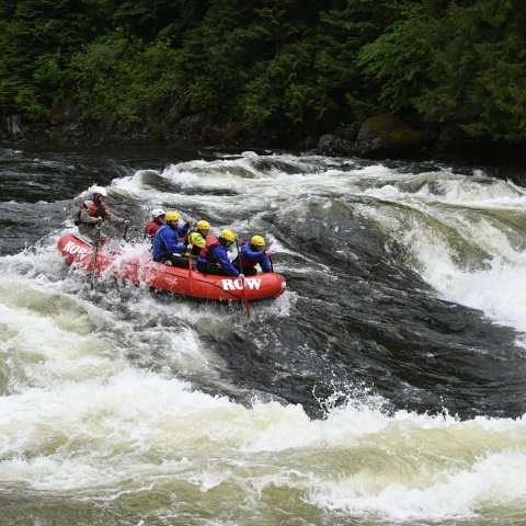 A whitewater journey through Idaho's Wild and Scenic Lochsa River