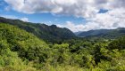 Lush green forest on a partly cloudy day in Cuba