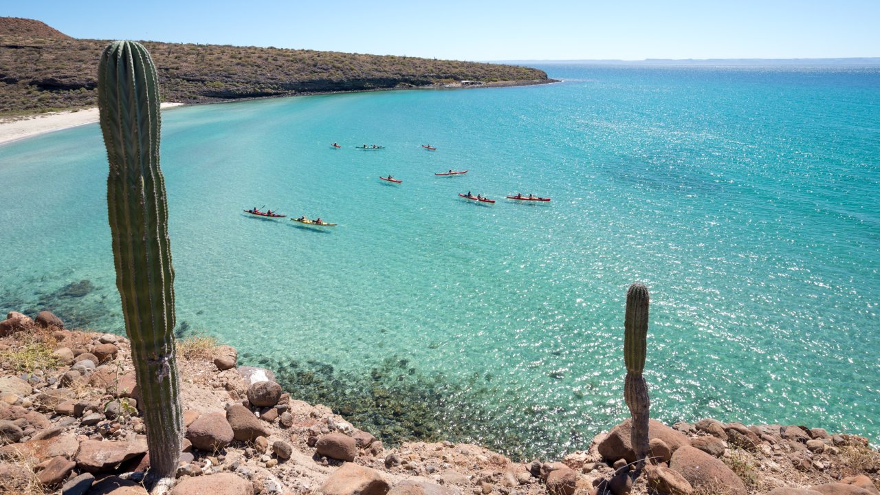 Kayakers in Isla Espiritu Santo among desert hills and cacti