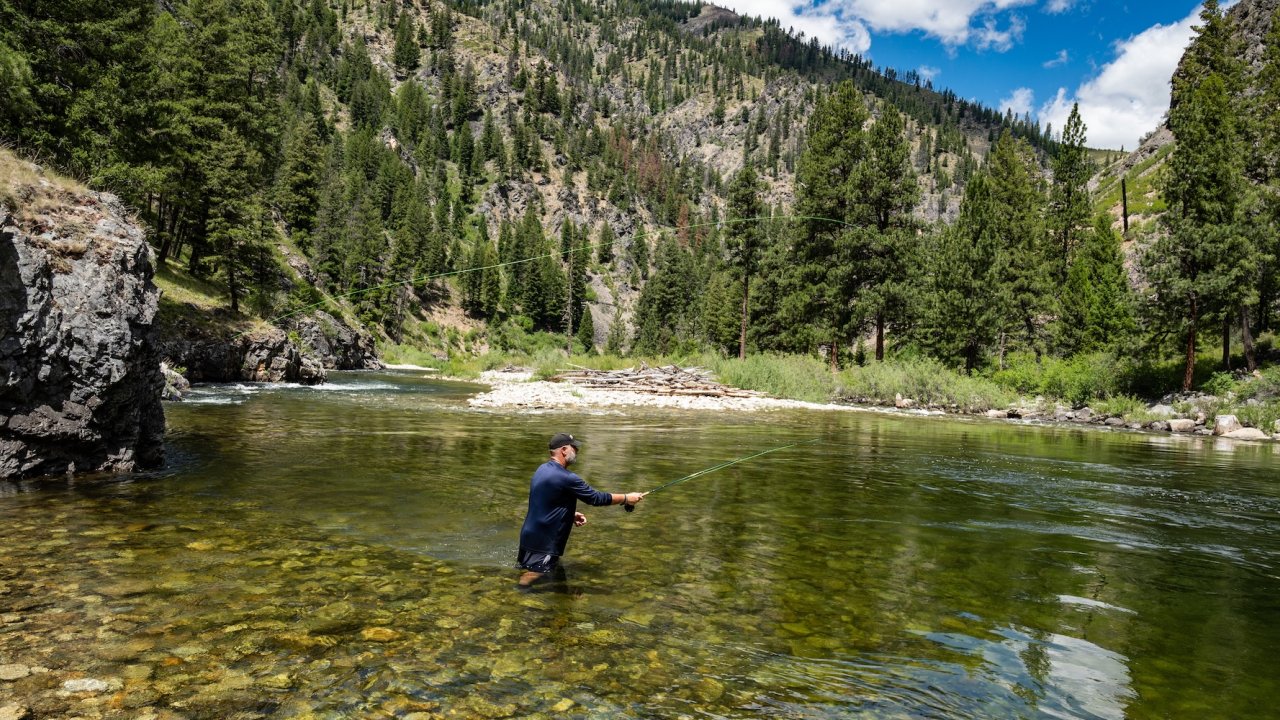 Man fly fishing in the clear waters of the Middle Fork of the Salmon River, surrounded by pine-covered mountains in Idaho’s Frank Church Wilderness.