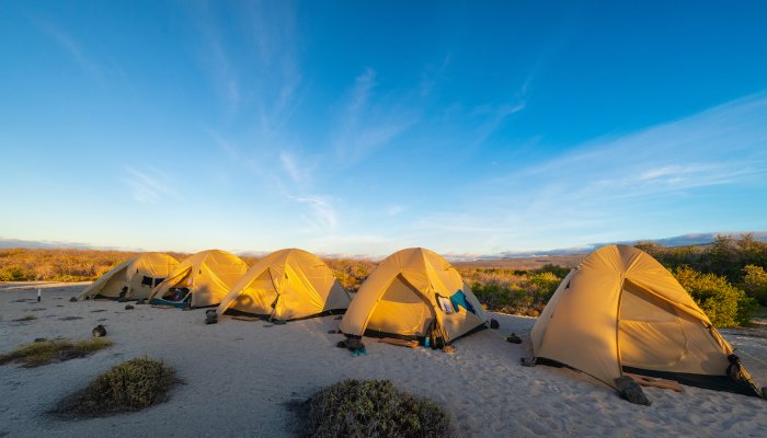 Tents on a beach in the Galapagos 