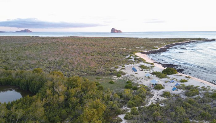 Tents set up on a beach surrounded by greenery with Kicker Rock in the background at sunset in the Galapagos Islands