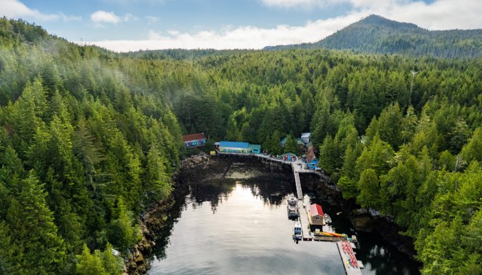 small resort on an ocean bay in green forest
