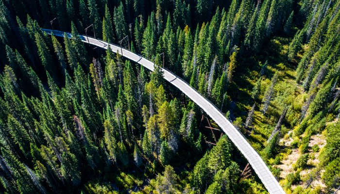 Birds eye view of the Hiawatha Trail through a dense forest in North Idaho