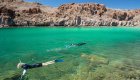 Two snorkelers searching for marine life in the Gulf of California