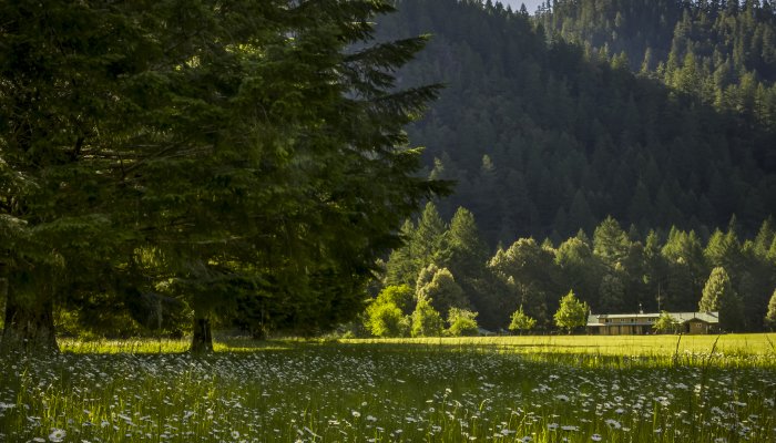Half Moon Bar Lodge in the distance glowing in the sun surrounded by greenery