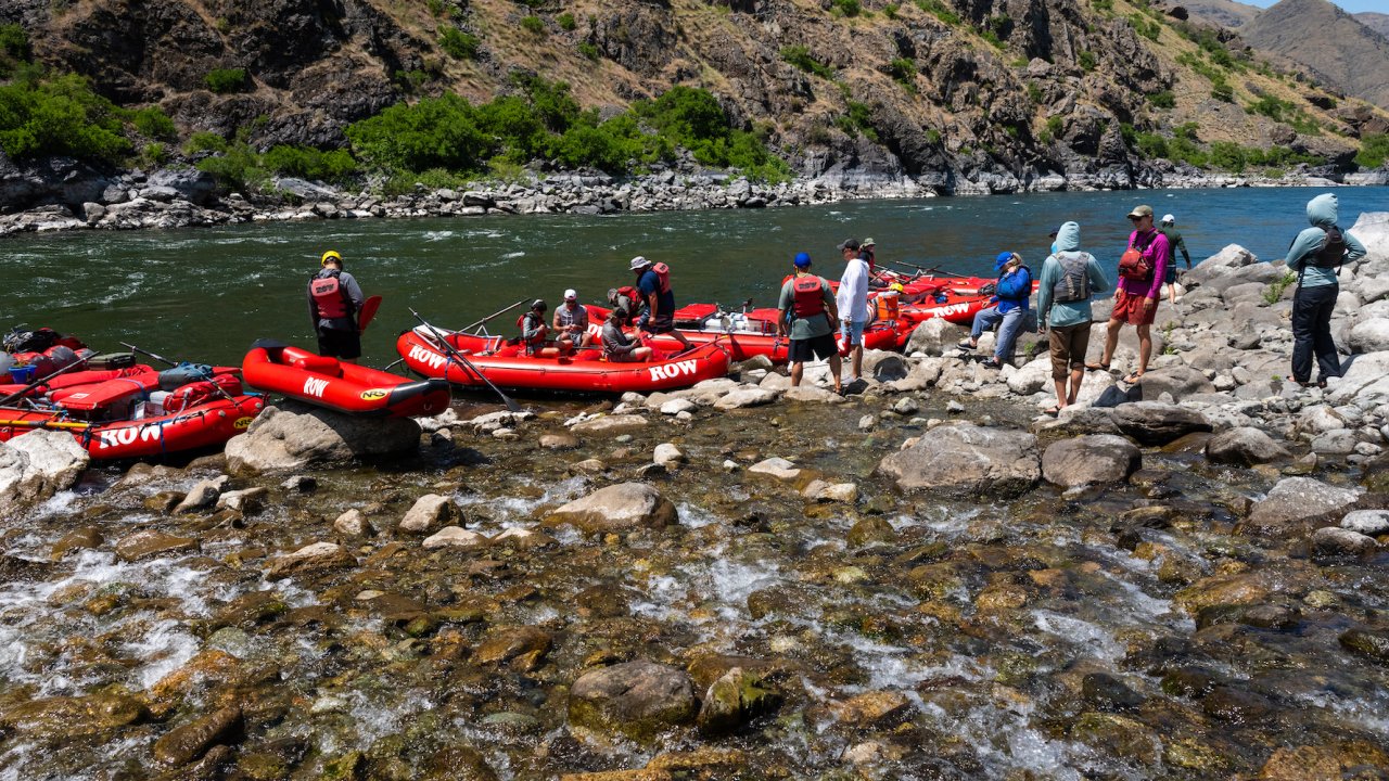 A row of red rafts along a river bank on the Snake River