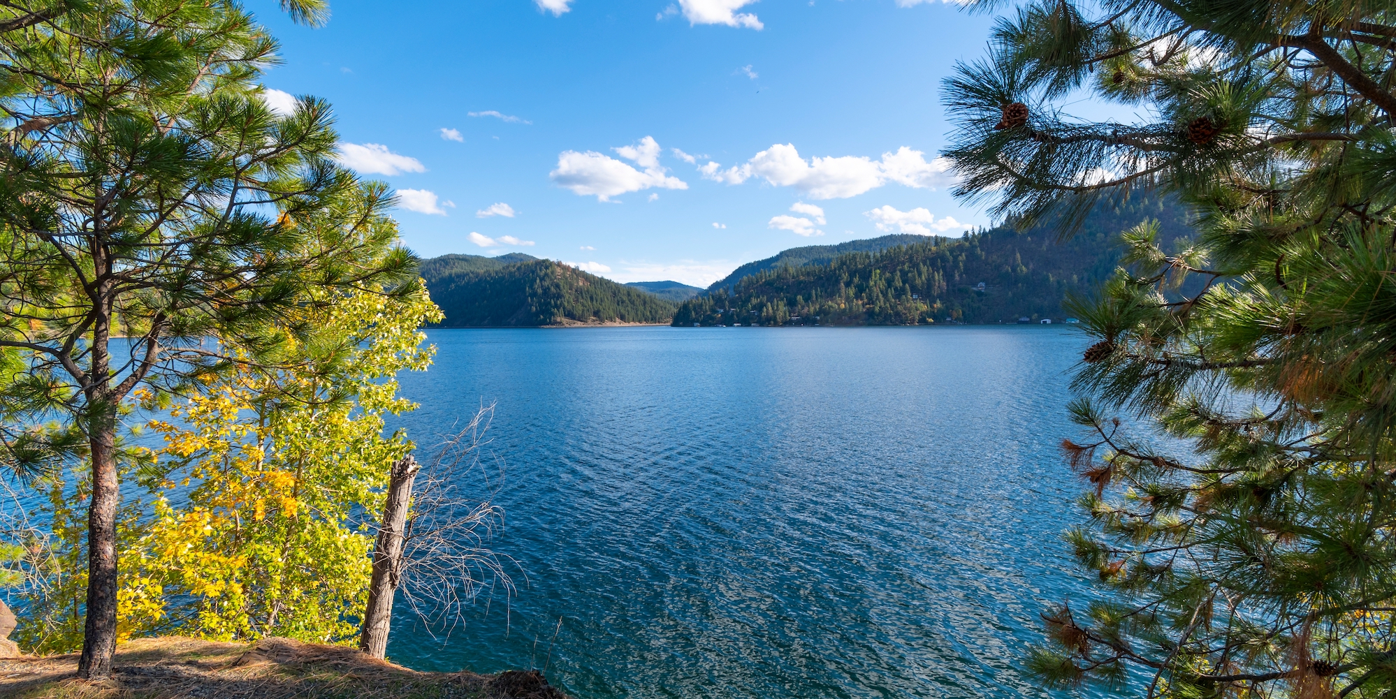Swimming at Higgins Point in Coeur D'Alene, Idaho