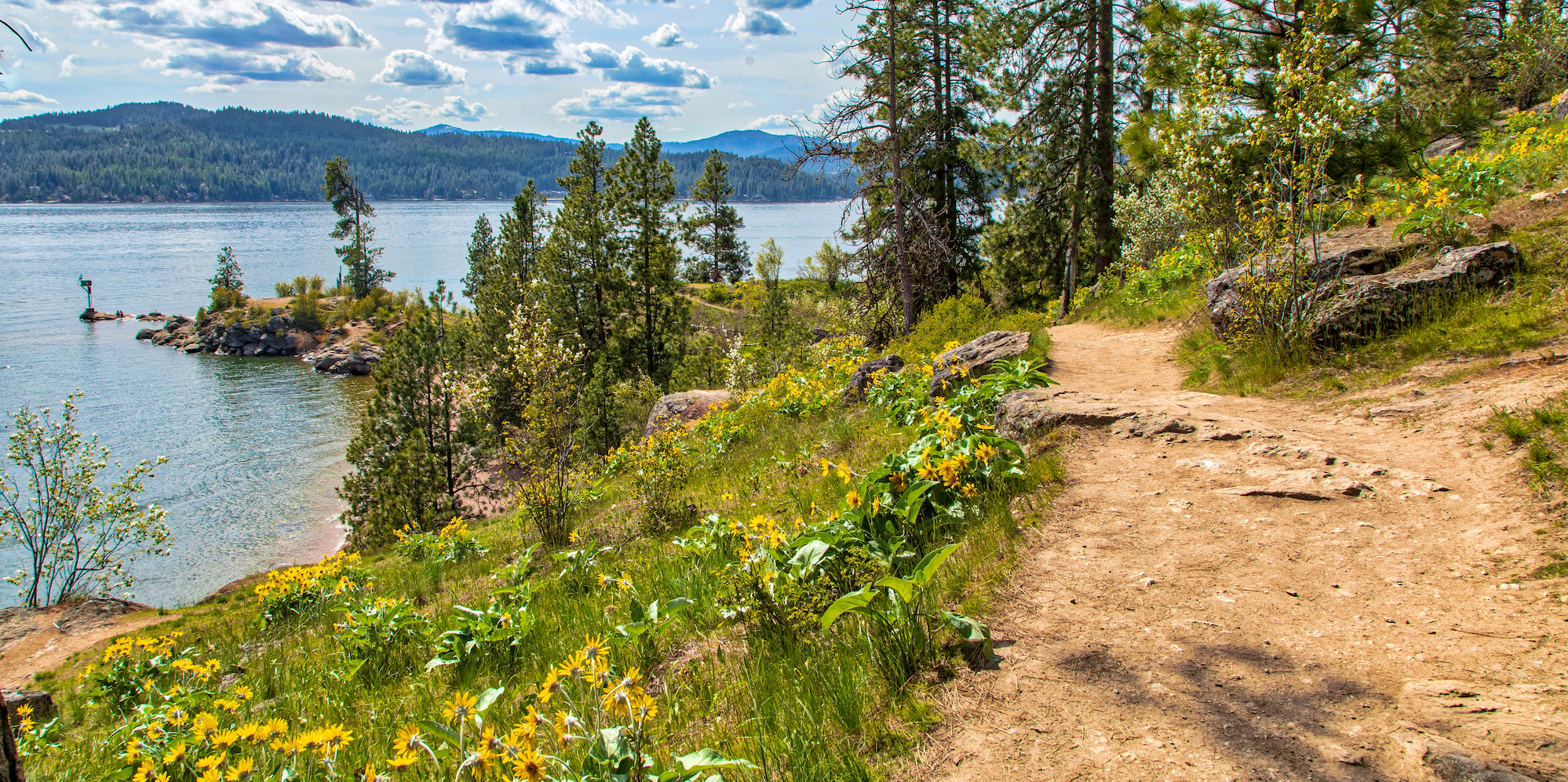 Hiking trail along Lake Coeur D'Alene in Northern Idaho