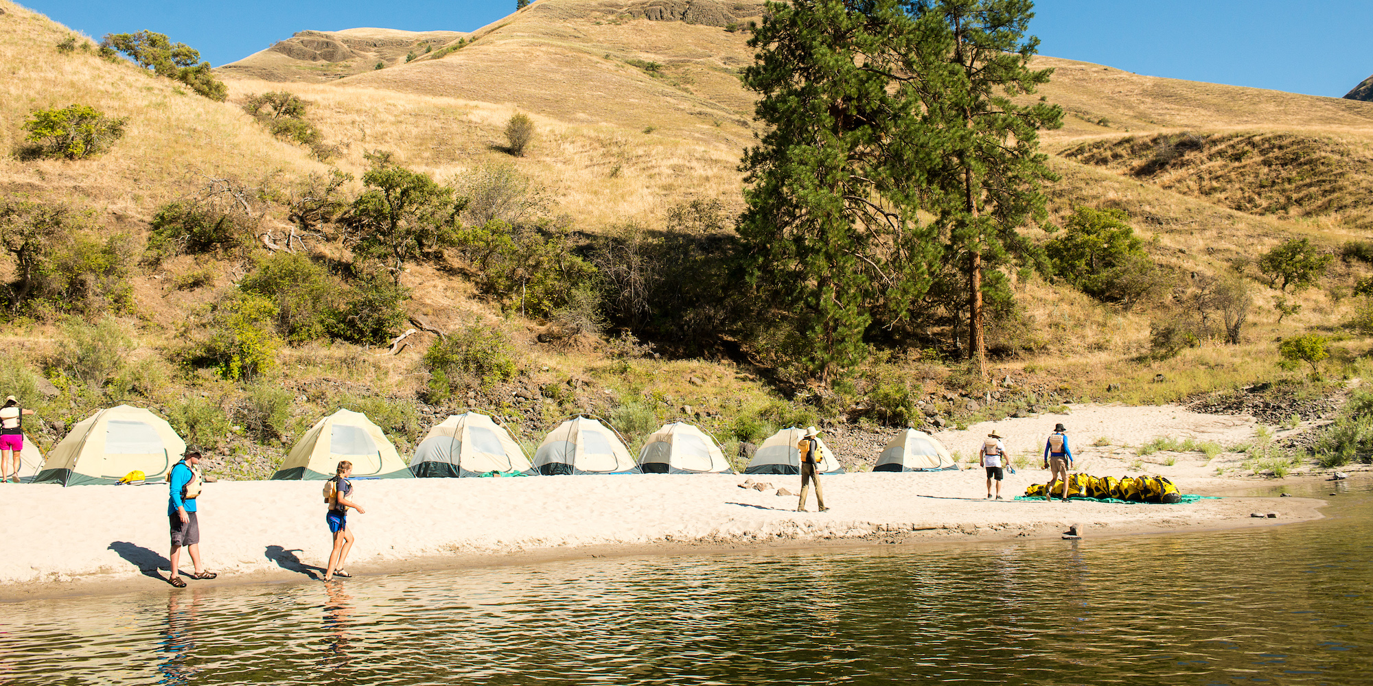 A row of tents set up along a white sand beach along the Salmon River