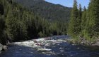 Group of rafts floating down a river bend on the Lochsa river in Idaho. 