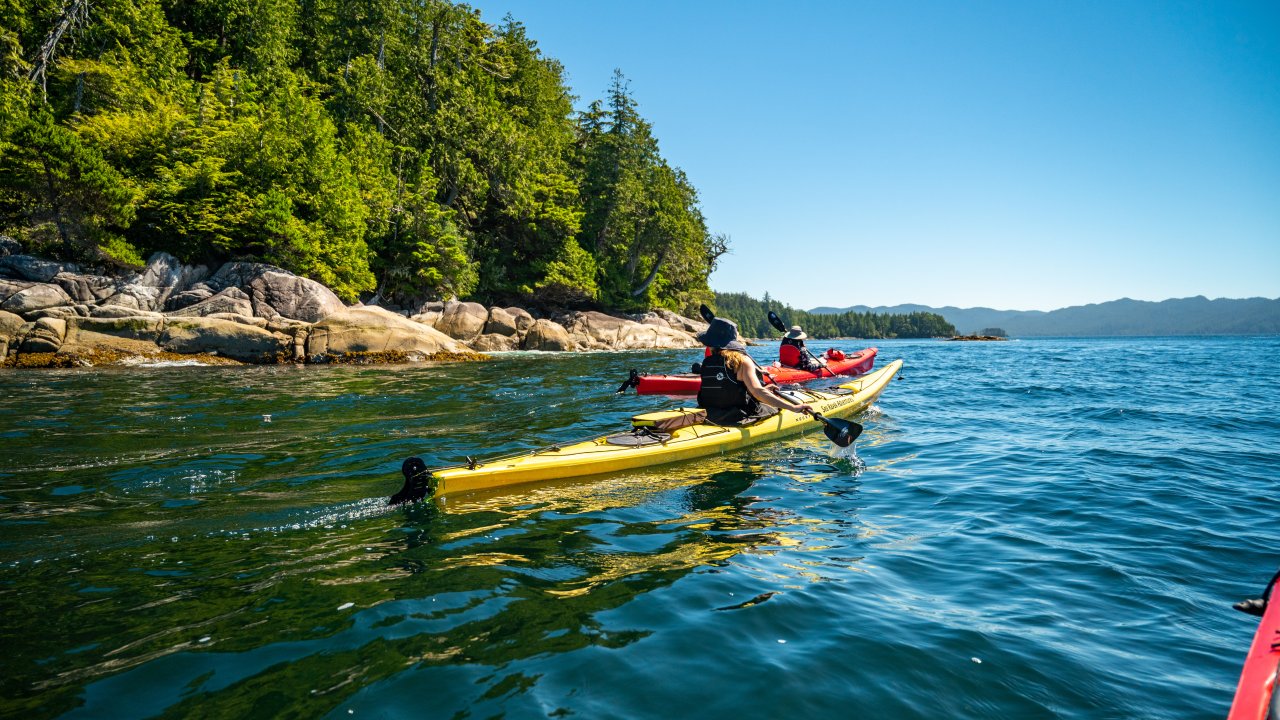 sea kayaking through God's Pocket Provincial Park on a sunny summer day