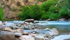 Salmon River guided fly fishing tours