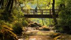 Hiking across a bridge along the Rogue River Corridor
