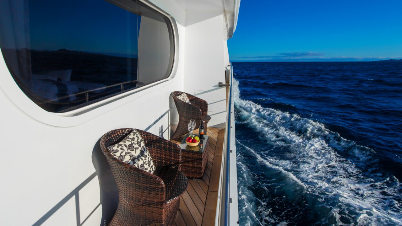 guest balcony petrel