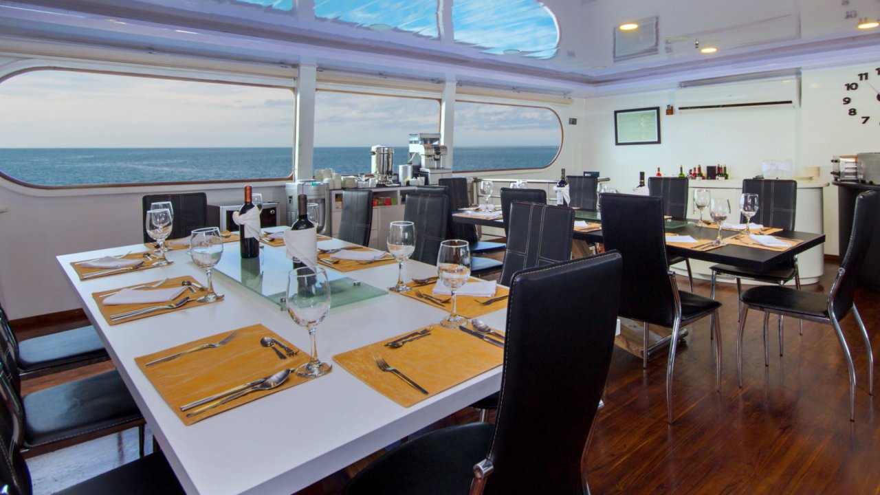 Dining on the Petrel