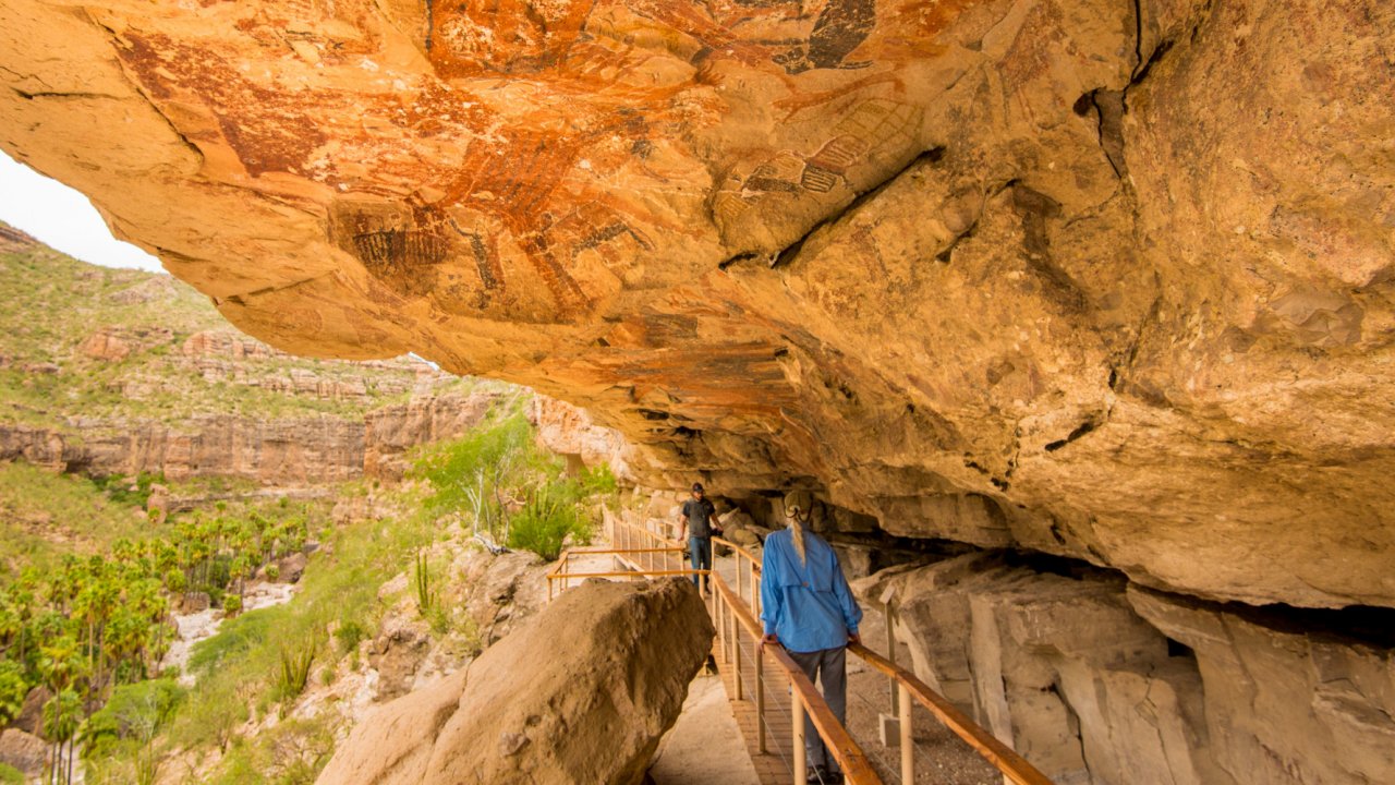 cave paintings of baja
