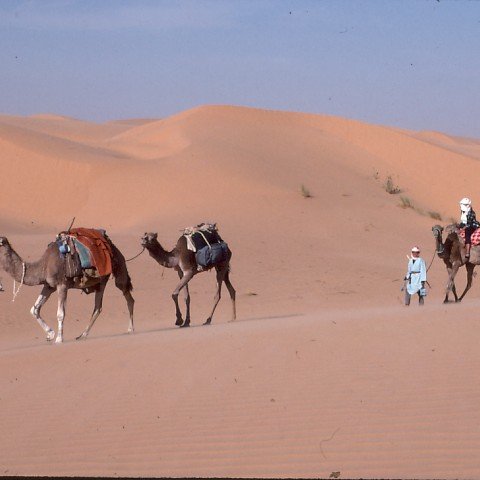 Algeria multisport tours 