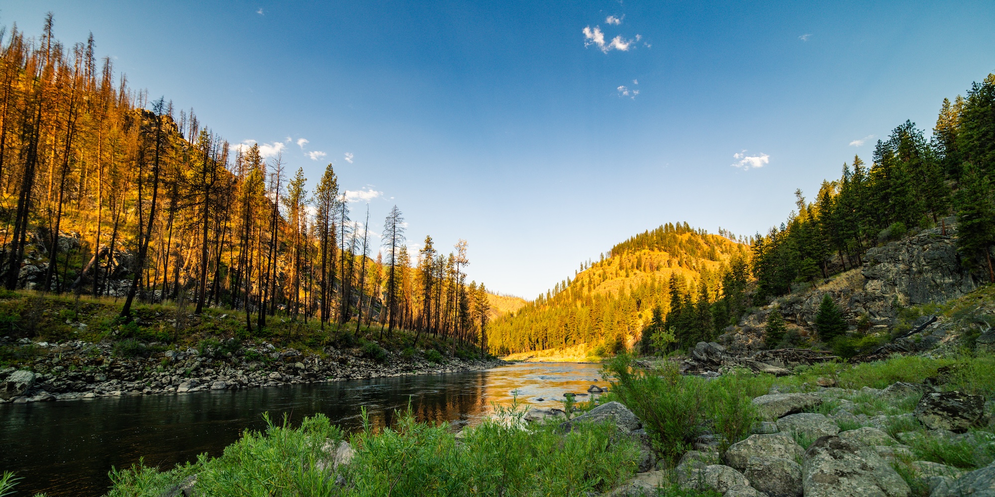 Scenic view of the Main Salmon River winding through a rugged Idaho canyon, ideal for Salmon River rafting adventures