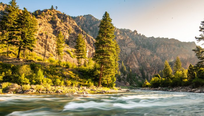 salmon river in Idaho