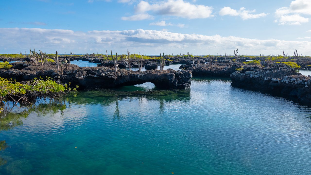 Tortuga Bay in the Galapagos Islands